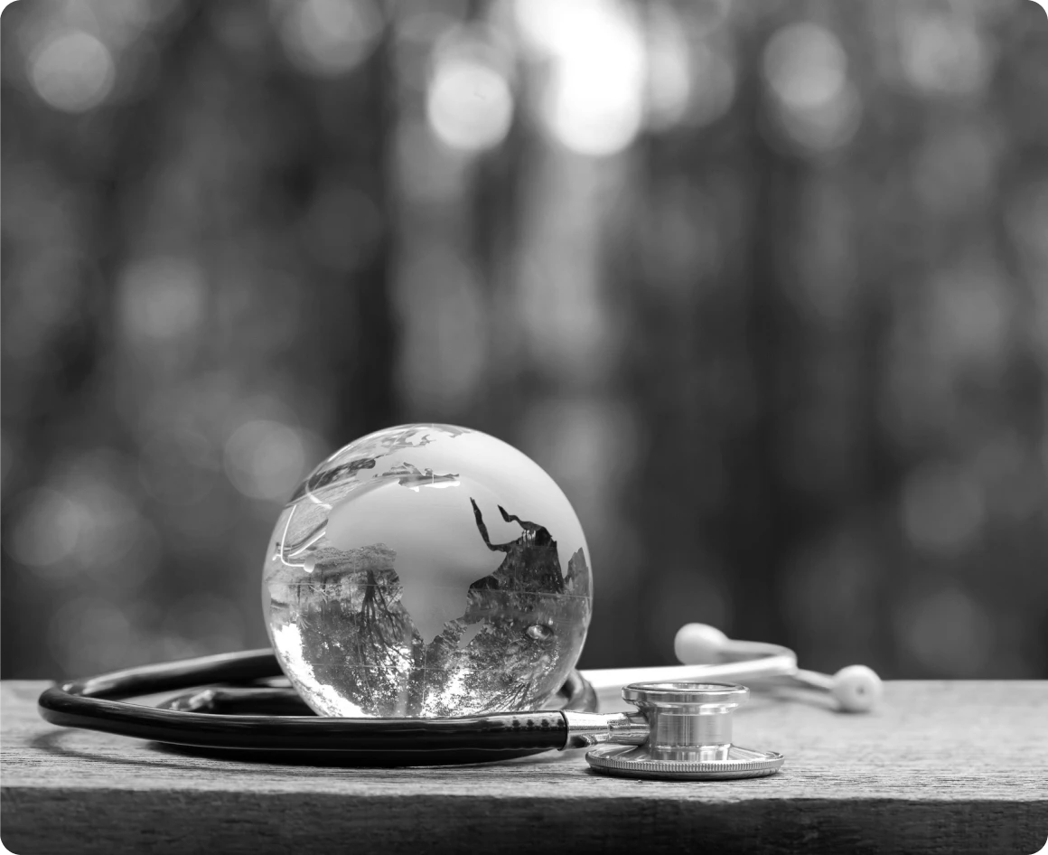 Reflection of nature in glass globe
